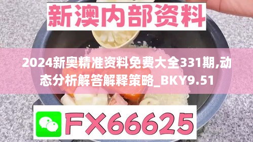 2024新奥精准资料免费大全331期,动态分析解答解释策略_BKY9.51