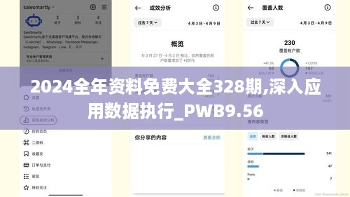 2024全年资料免费大全328期,深入应用数据执行_PWB9.56