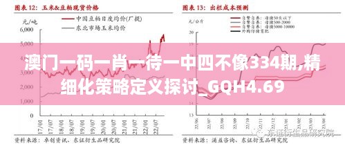 澳门一码一肖一待一中四不像334期,精细化策略定义探讨_GQH4.69