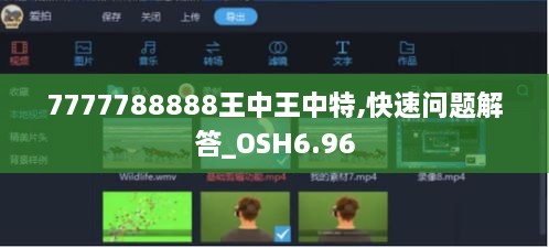 7777788888王中王中特,快速问题解答_OSH6.96