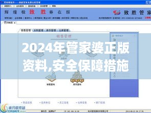 2024年管家婆正版资料,安全保障措施_HAN6.91