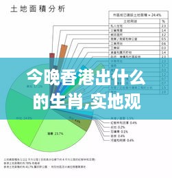 今晚香港出什么的生肖,实地观察数据设计_RDF6.78