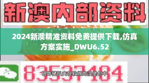 2024新澳精准资料免费提供下载,仿真方案实施_DWU6.52