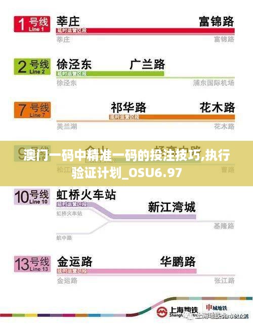 澳门一码中精准一码的投注技巧,执行验证计划_OSU6.97