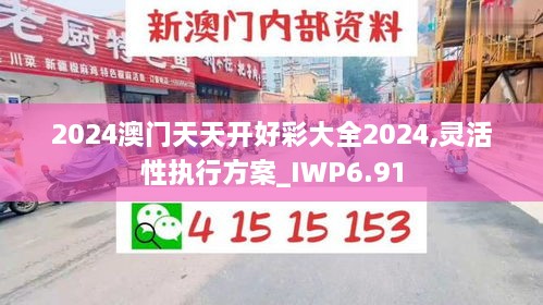 2024澳门天天开好彩大全2024,灵活性执行方案_IWP6.91