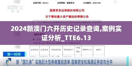 2024新澳门六开历史记录查询,案例实证分析_TTE6.13