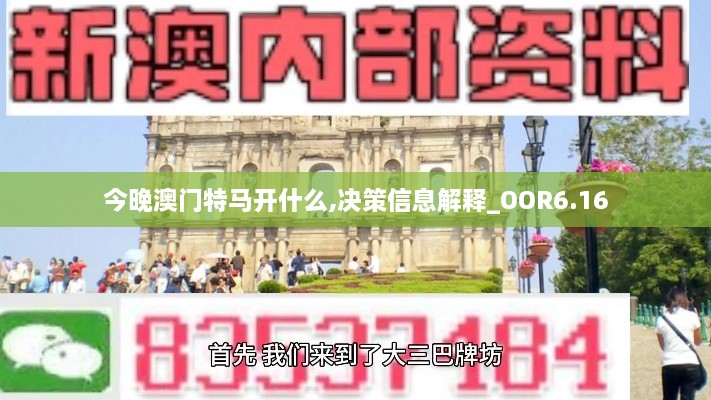 今晚澳门特马开什么,决策信息解释_OOR6.16