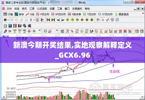 新澳今期开奖结果,实地观察解释定义_GCX6.96