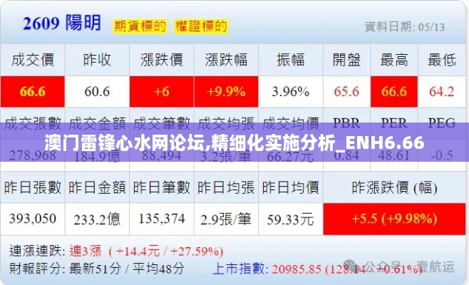 澳门雷锋心水网论坛,精细化实施分析_ENH6.66