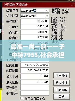 最准一肖一码一一子中特7955,社会承担实践战略_MEQ6.37