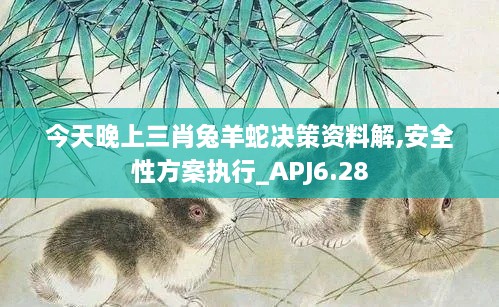 今天晚上三肖兔羊蛇决策资料解,安全性方案执行_APJ6.28