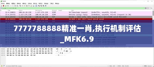 7777788888精准一肖,执行机制评估_MFK6.9