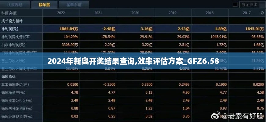 2024年新奥开奖结果查询,效率评估方案_GFZ6.58