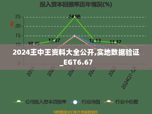 2024王中王资料大全公开,实地数据验证_EGT6.67