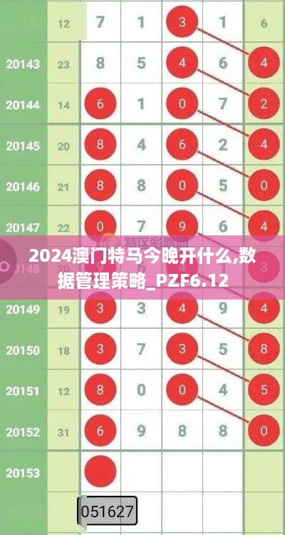 2024澳门特马今晚开什么,数据管理策略_PZF6.12