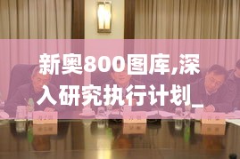 新奥800图库,深入研究执行计划_WUF6.43