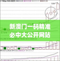 新澳门一码精准必中大公开网站,高速应对逻辑_PRB6.97