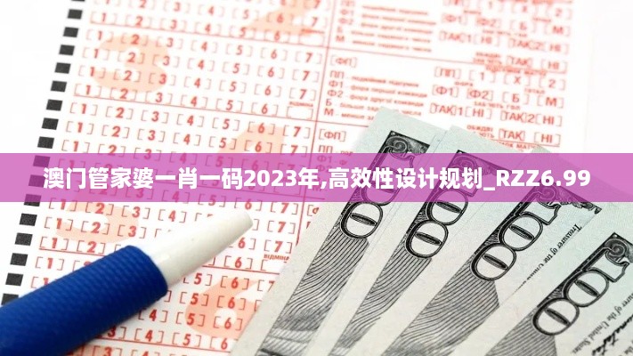 澳门管家婆一肖一码2023年,高效性设计规划_RZZ6.99