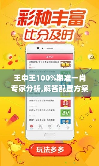 王中王100%期准一肖专家分析,解答配置方案_QAA6.99