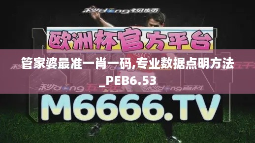 管家婆最准一肖一码,专业数据点明方法_PEB6.53