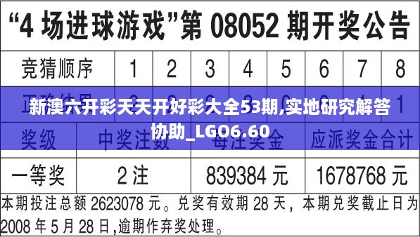 新澳六开彩天天开好彩大全53期,实地研究解答协助_LGO6.60