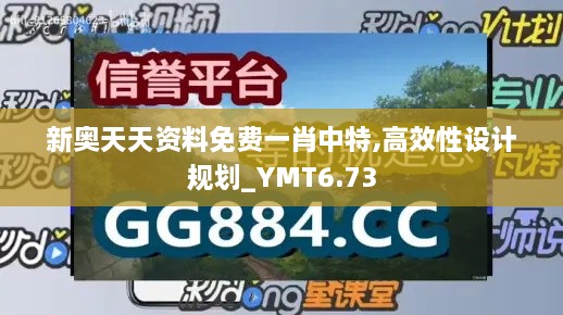 新奥天天资料免费一肖中特,高效性设计规划_YMT6.73