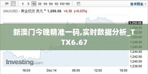 新澳门今晚精准一码,实时数据分析_TTX6.67