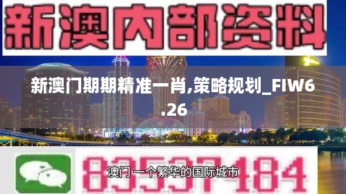 新澳门期期精准一肖,策略规划_FIW6.26