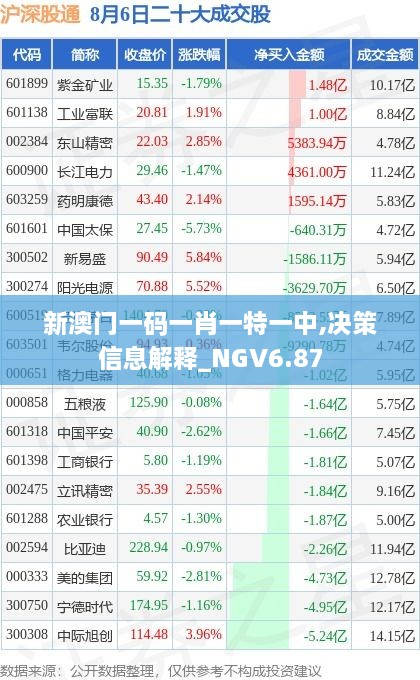 新澳门一码一肖一特一中,决策信息解释_NGV6.87