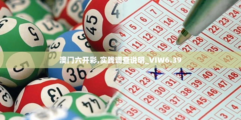 澳门六开彩,实践调查说明_VIW6.39