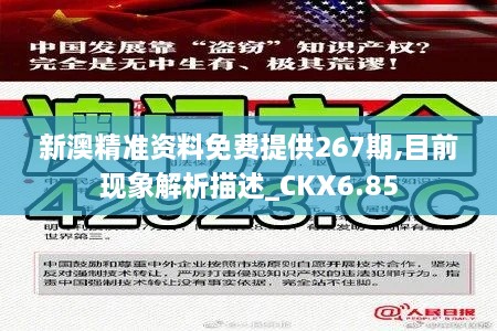 新澳精准资料免费提供267期,目前现象解析描述_CKX6.85