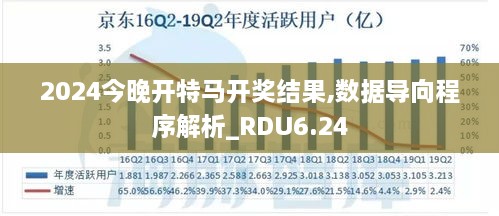 2024今晚开特马开奖结果,数据导向程序解析_RDU6.24