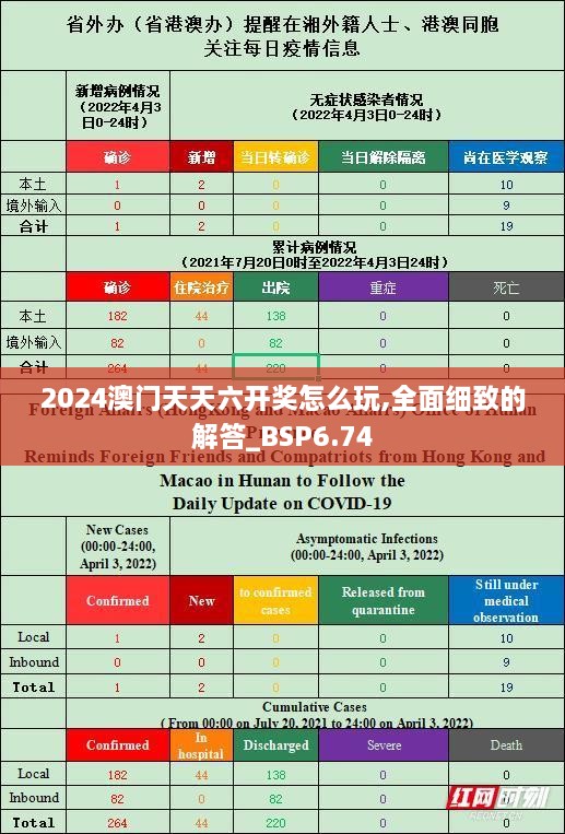 2024澳门天天六开奖怎么玩,全面细致的解答_BSP6.74