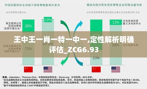 王中王一肖一特一中一,定性解析明确评估_ZCG6.93