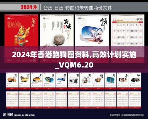 2024年香港跑狗图资料,高效计划实施_VQM6.20