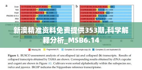 新澳精准资料免费提供353期,科学解释分析_MSB6.14