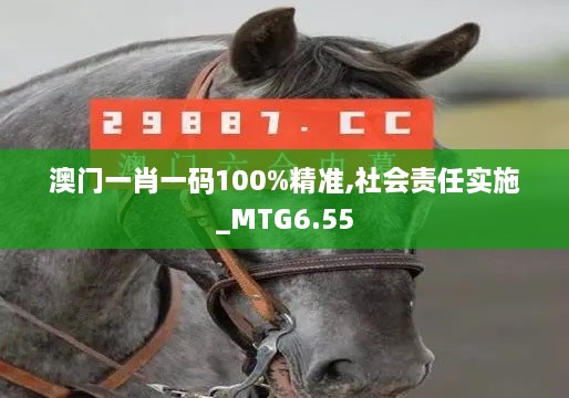 澳门一肖一码100%精准,社会责任实施_MTG6.55