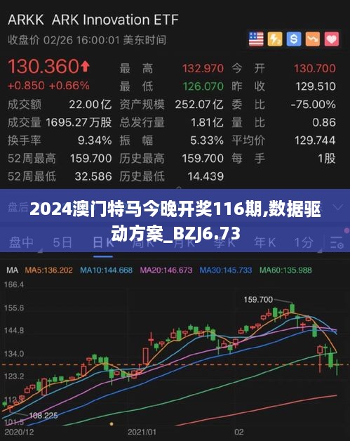 2024澳门特马今晚开奖116期,数据驱动方案_BZJ6.73