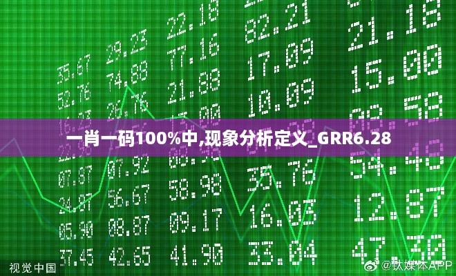 一肖一码100%中,现象分析定义_GRR6.28