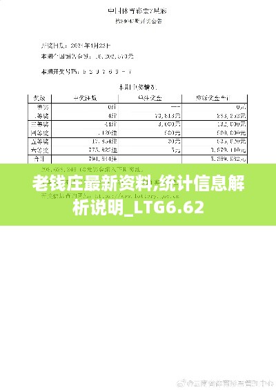 老钱庄最新资料,统计信息解析说明_LTG6.62