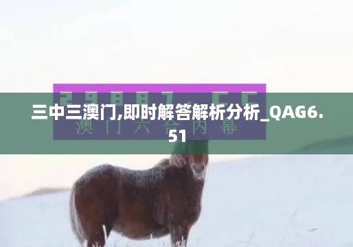 三中三澳门,即时解答解析分析_QAG6.51