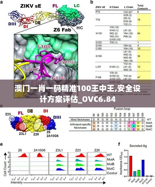 澳门一肖一码精准100王中王,安全设计方案评估_OVC6.84