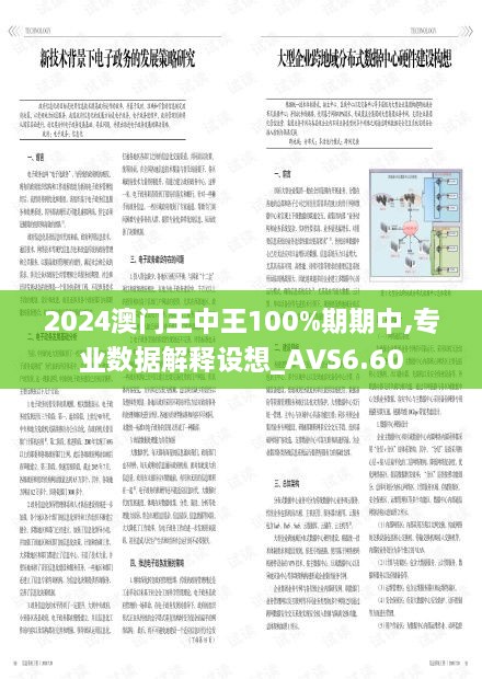 2024澳门王中王100%期期中,专业数据解释设想_AVS6.60