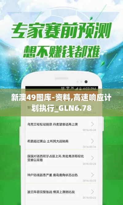 新澳49图库-资料,高速响应计划执行_GLN6.78