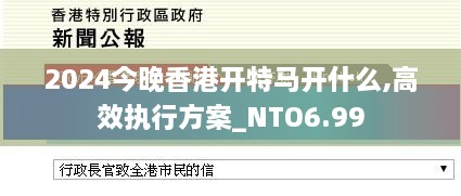 2024今晚香港开特马开什么,高效执行方案_NTO6.99