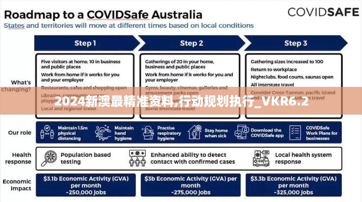 2024新澳最精准资料,行动规划执行_VKR6.2