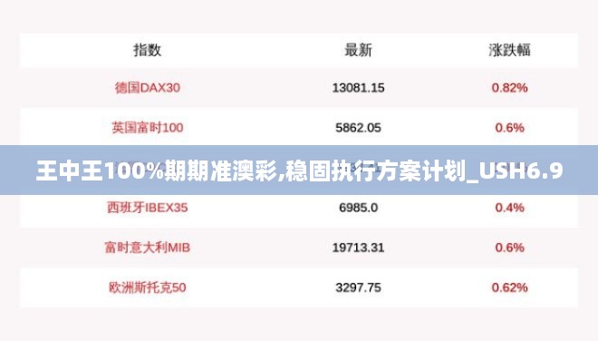 王中王100%期期准澳彩,稳固执行方案计划_USH6.9