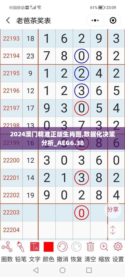 2024澳门精准正版生肖图,数据化决策分析_AEG6.38