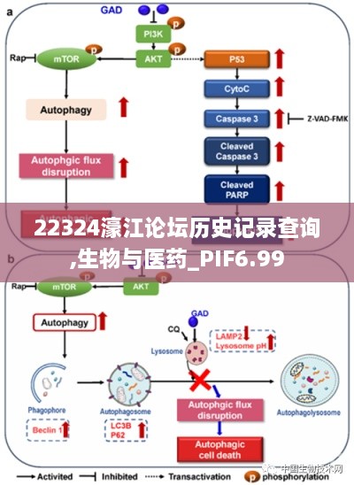 22324濠江论坛历史记录查询,生物与医药_PIF6.99