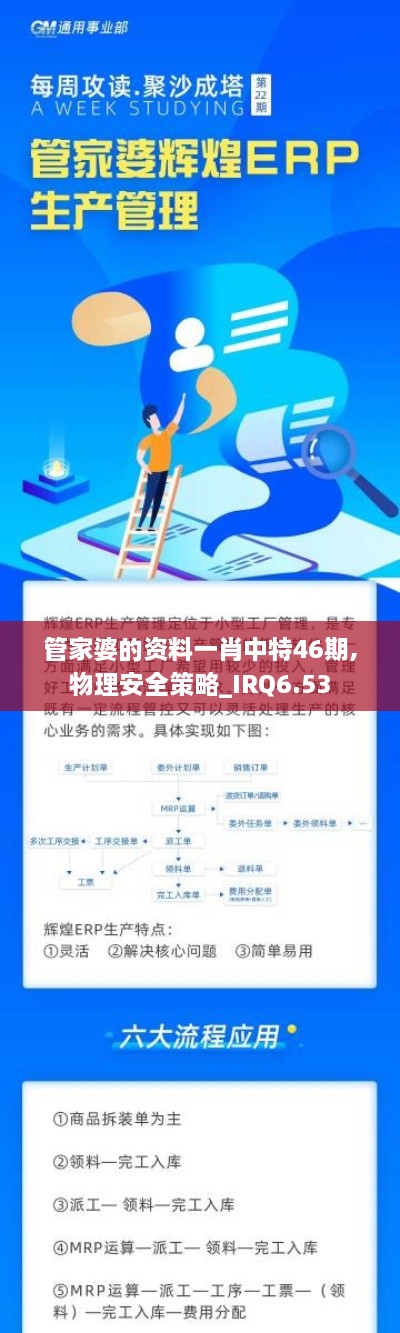 管家婆的资料一肖中特46期,物理安全策略_IRQ6.53